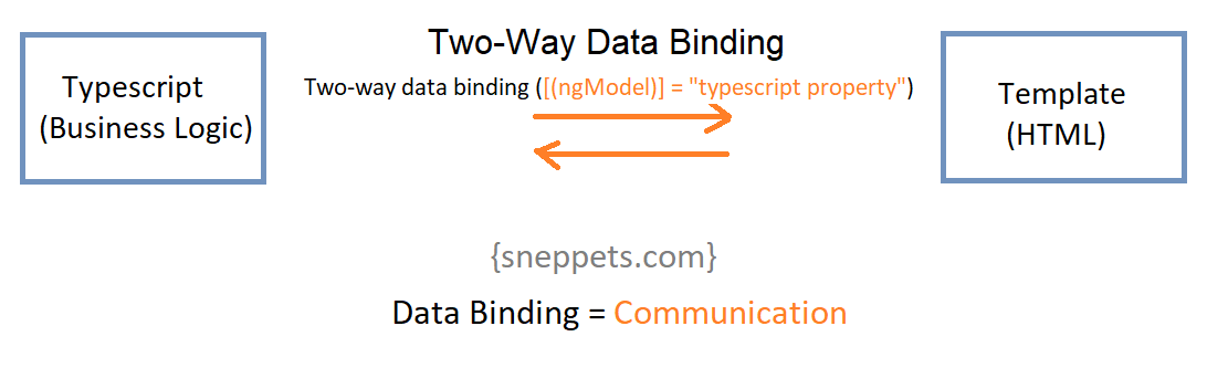 Angular 9 Two Way Data Binding Example Sneppets